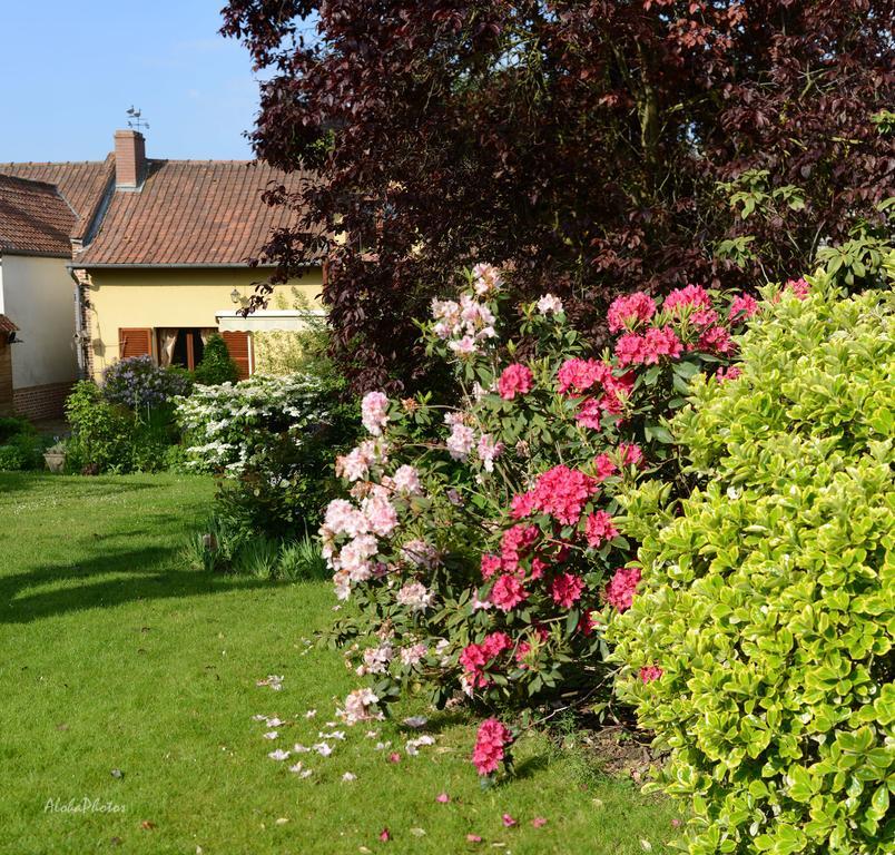 Gite Des Hortillonnages Camon  Luaran gambar