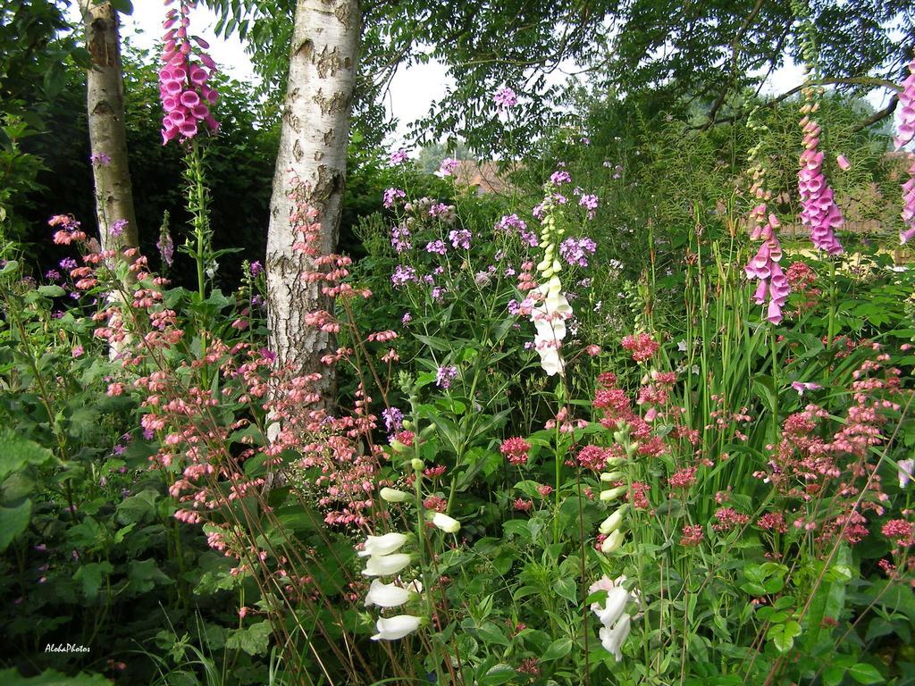 Gite Des Hortillonnages Camon  Luaran gambar