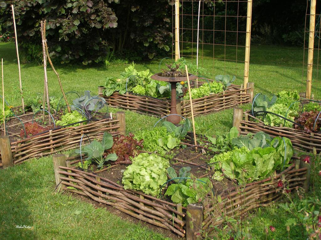 Gite Des Hortillonnages Camon  Luaran gambar
