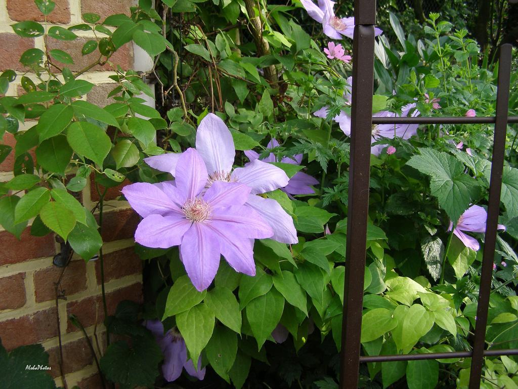 Gite Des Hortillonnages Camon  Luaran gambar
